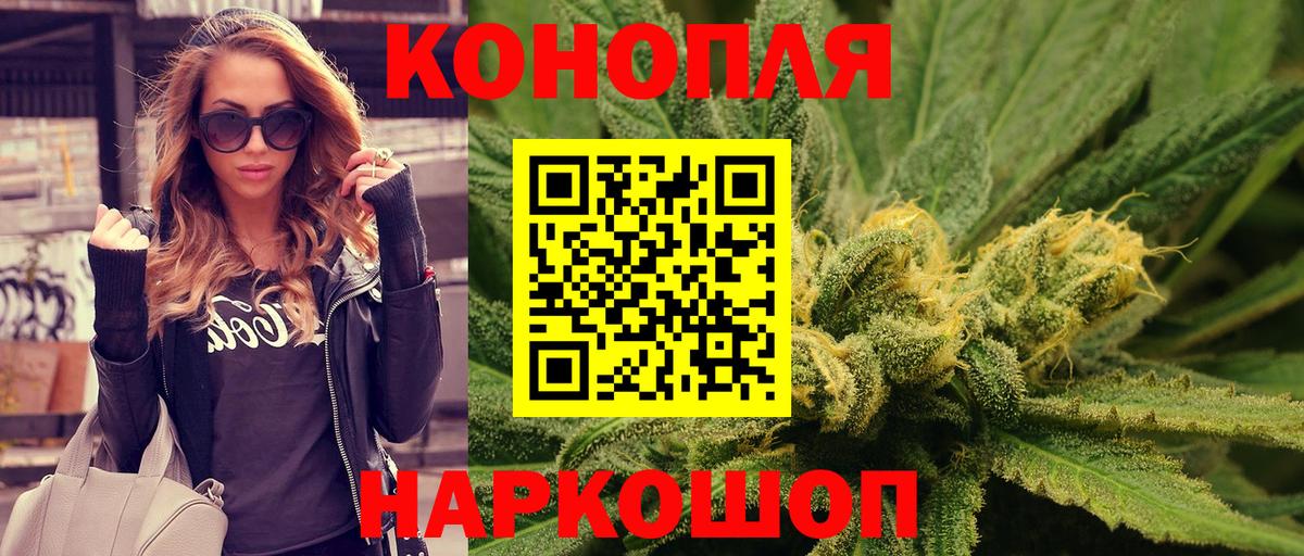 Канабис сатива Приморско-Ахтарск